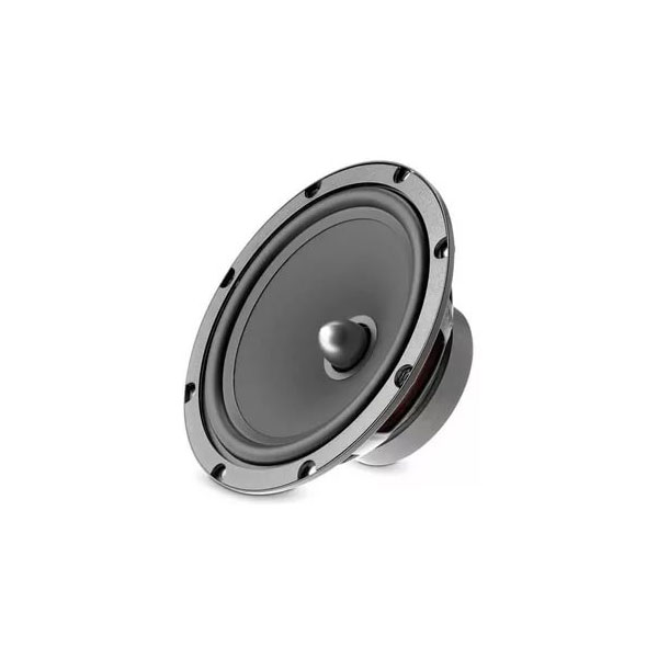 Focal Auditor RSE-165_2.jpg Focal Auditor RSE-165_2.jpg